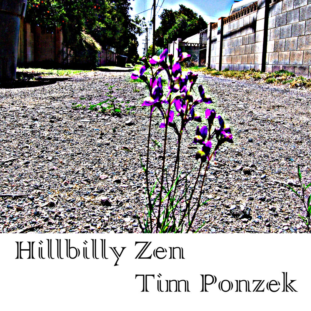 Hillbilly Zen (EP) by Tim Ponzek