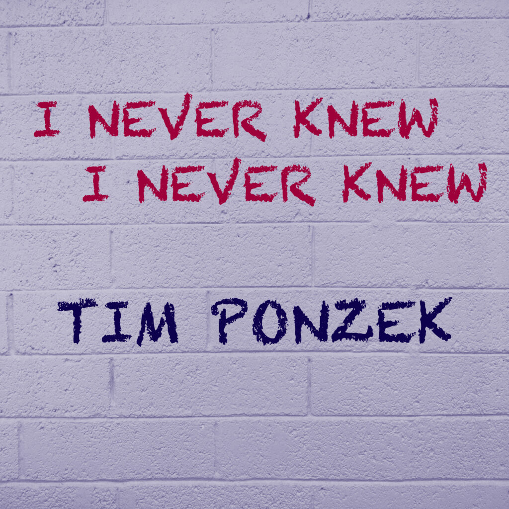 I Never Knew I Never Knew (Single) by Tim Ponzek