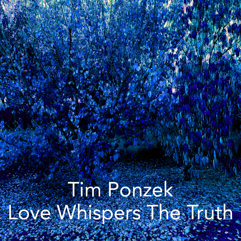 Love Whispers The Truth (Single) by Tim Ponzek