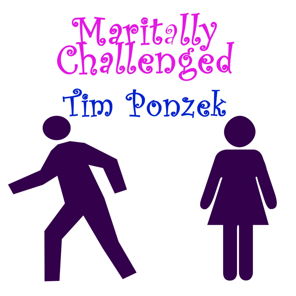 Maritally Challenged (Single) by Tim Ponzek