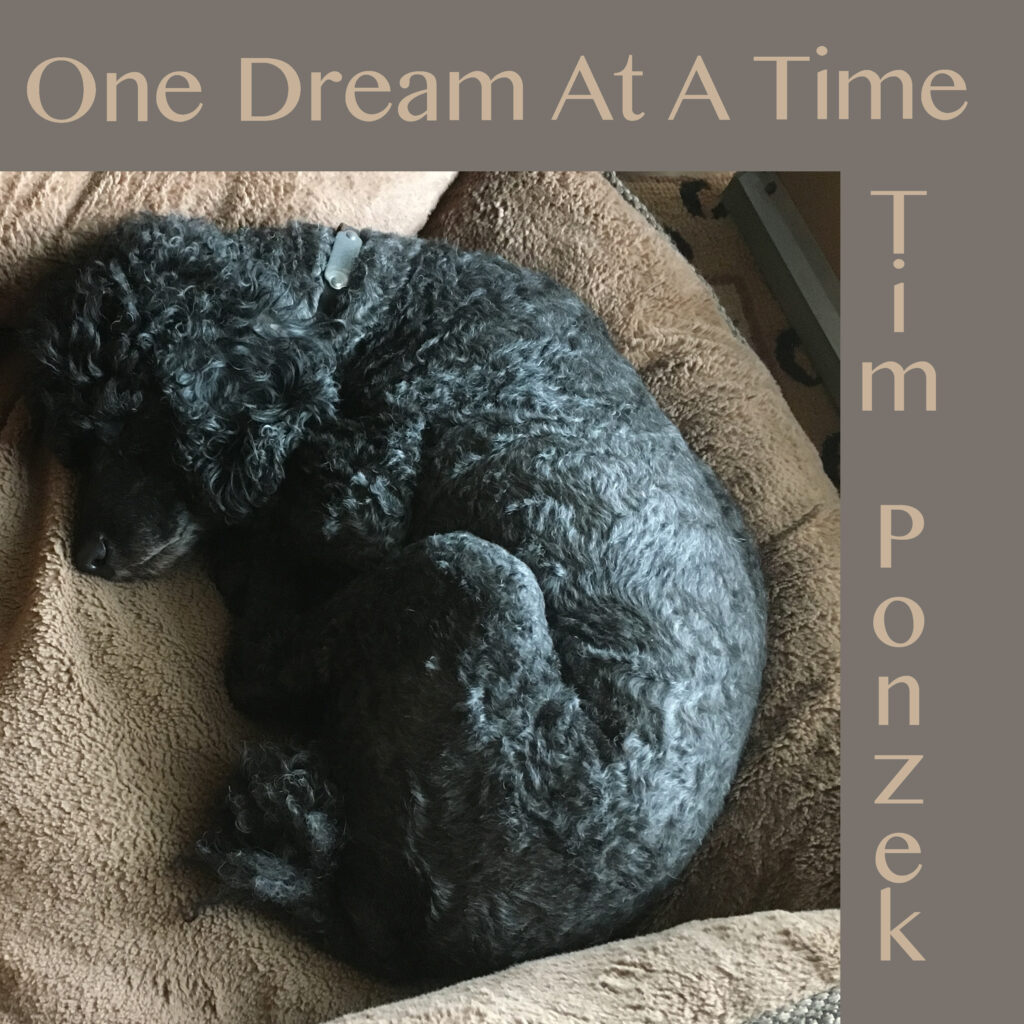 One Dream At A Time (Single) by Tim Ponzek