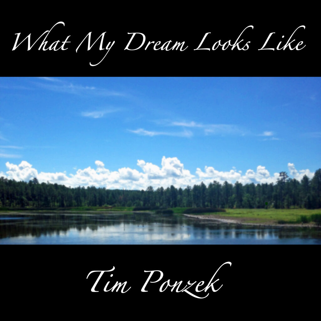 What My Dream Looks Like (Single) by Tim Ponzek