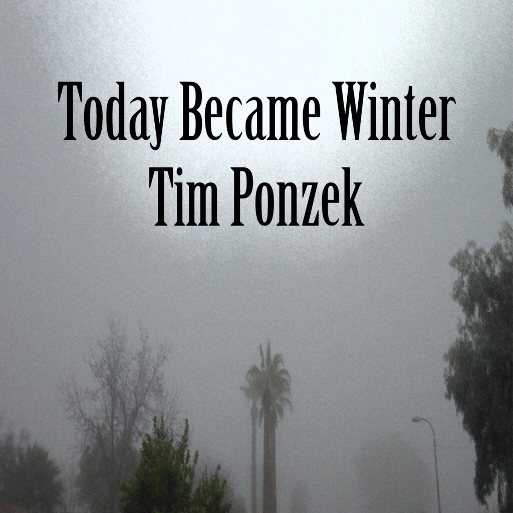 Today Became Winter by Tim Ponzek